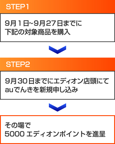手順