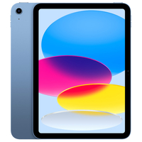 Apple 11インチiPad Wi-Fiモデル 256GB ブルー MD4H4J/A