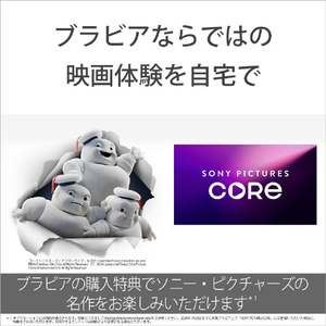 SONY 55型 Mini LED搭載 4K液晶テレビ BRAVIA 5 K-55XR53-イメージ5