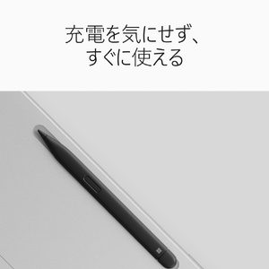 マイクロソフト Surface Pro 12 インチ(第 2 世代) SnapdragonR X2 Plus/24/512 プラチナ EP2-76317-イメージ13