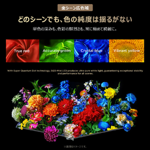 TCL 55V型4Kチューナー内蔵4K対応液晶テレビ 55C8L-イメージ16