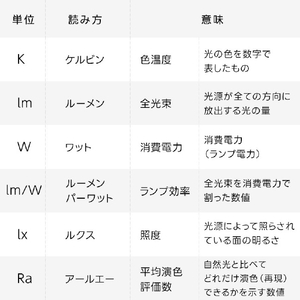 Livtec 40形 直管形LEDランプ インバータ式 昼白色 1本入り LW-LT40HF-N-イメージ13
