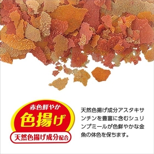 ジェックス 金魚元気 水キレイフレーク 100g FCD978M-31270-イメージ5